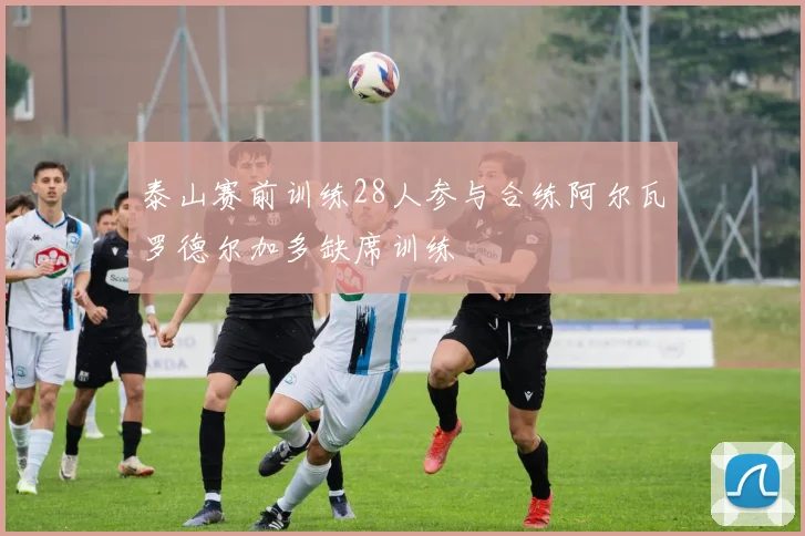 泰山赛前训练28人参与合练阿尔瓦罗德尔加多缺席训练